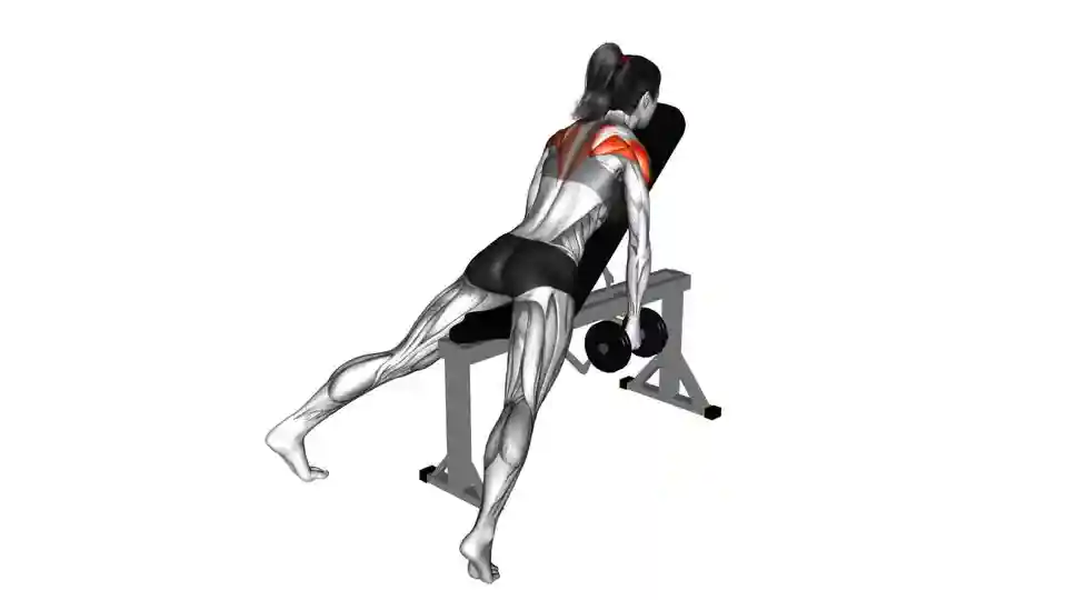 Seated Rear Delt Flye